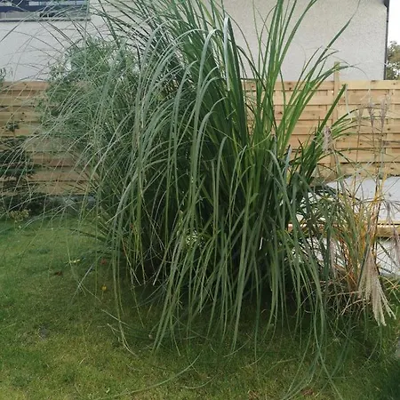 Chce Tu Zostac Apartmán Gdyně