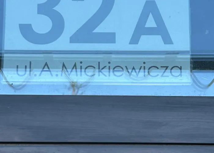 Chce Tu Zostac Gdynia